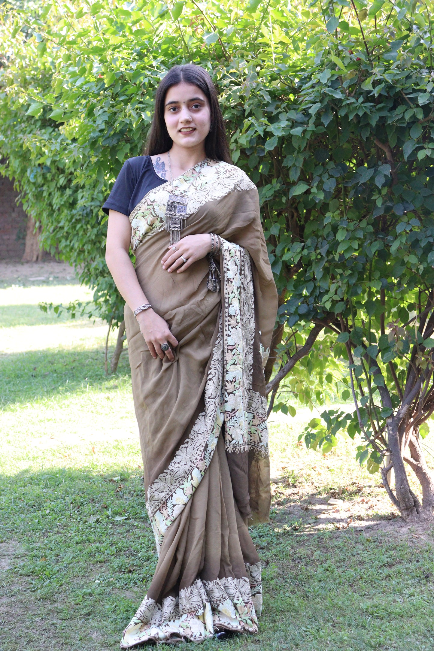 Kashmiri Traditional Double Shaded Chiffon Fabric With Handicraft Aari Work (Saree)s